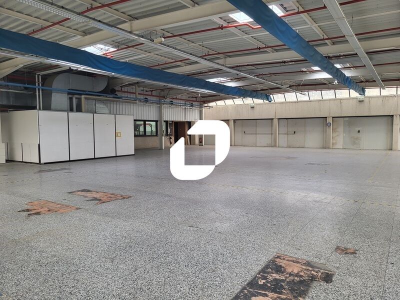 A proximité immédiate de l'autoroute A63, IMMPROV