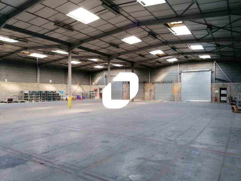 Sur la ZI de la Rize de Vaulx en Velin, Immprove 