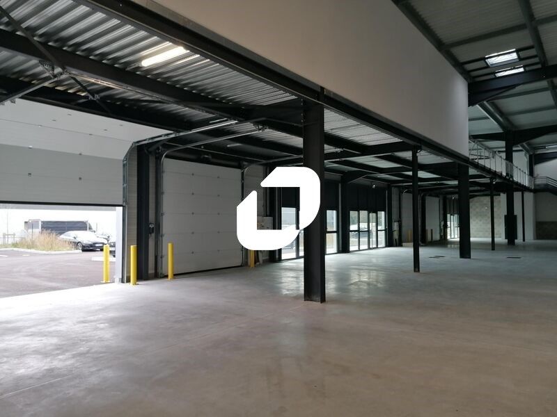 Immprove vous propose plusieurs cellules d'activi