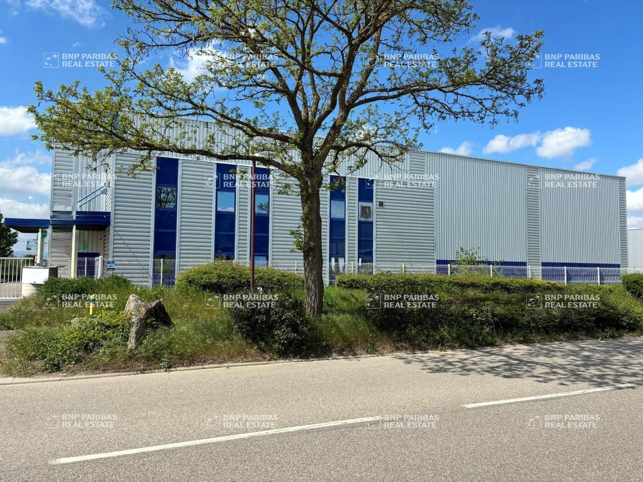 Location Activité 2083 m² non divisibles 67540 Ostwald