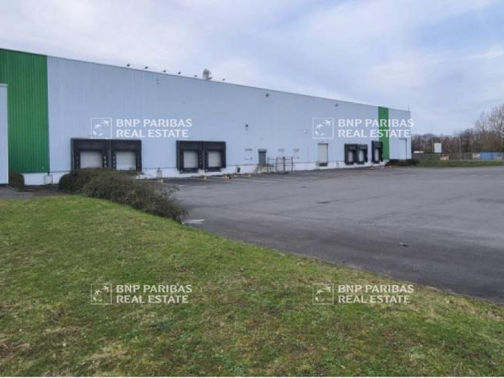 Vente Activité 10356 m² non divisibles 62119 Dourges