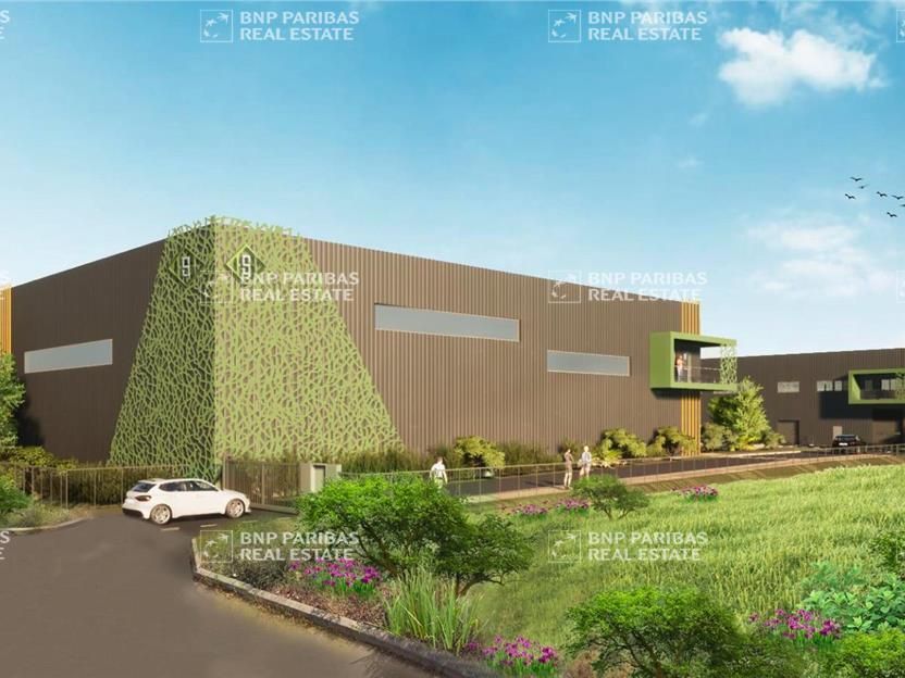 7162 m² pour ce activité en location à Mauguio