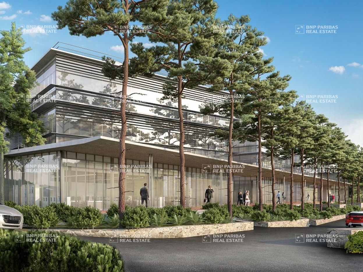 Location Activité 999.81 m² non divisibles 06560 Valbonne