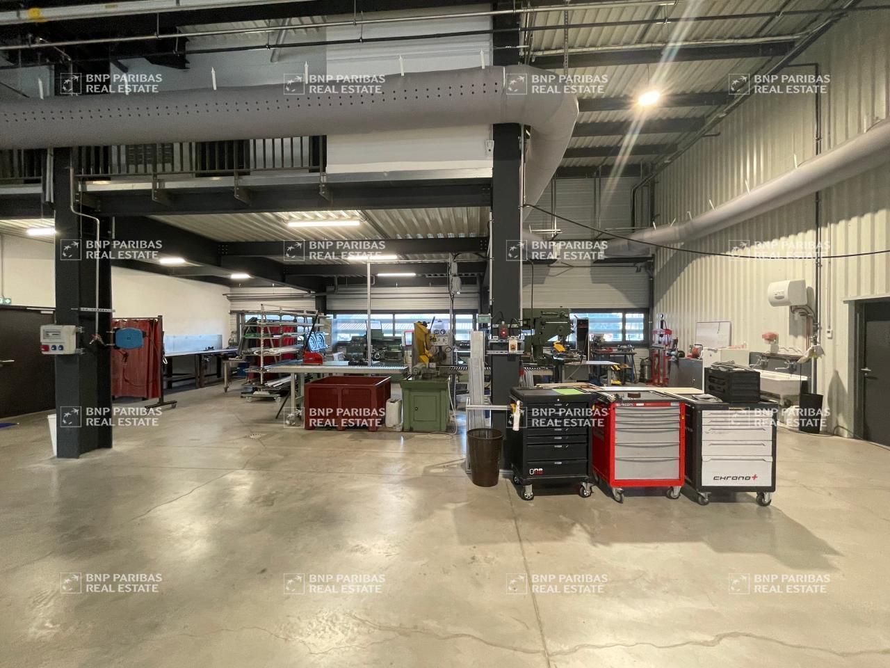 Location activité à La balme-de-thuy 74230