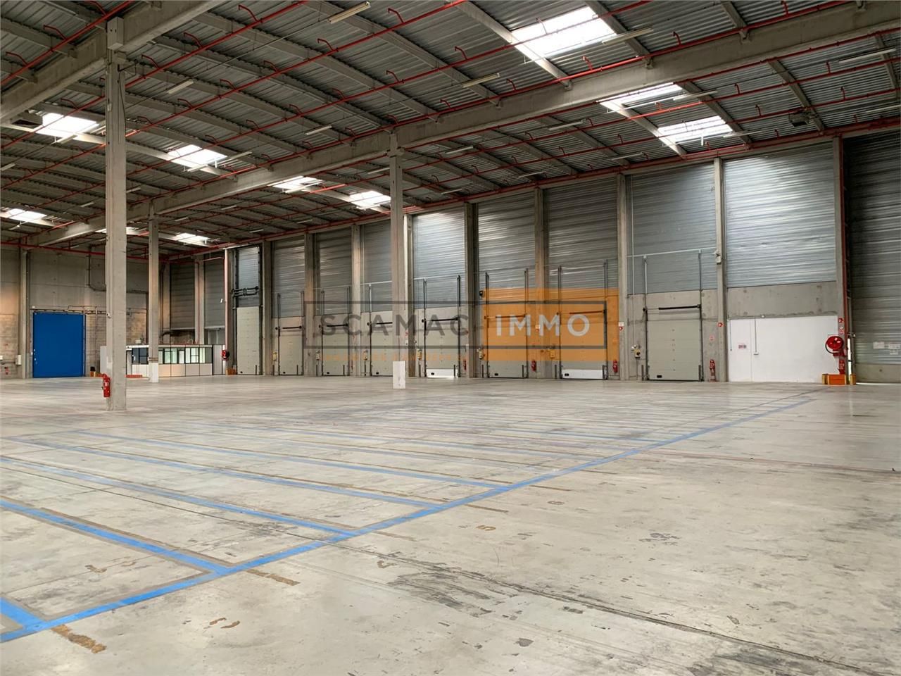Entrepôt de 8460m²