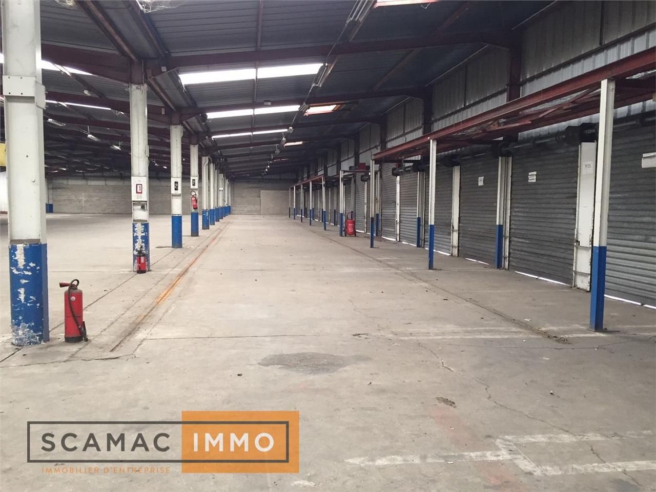 Vente Entrepôt 5000 m² non divisibles