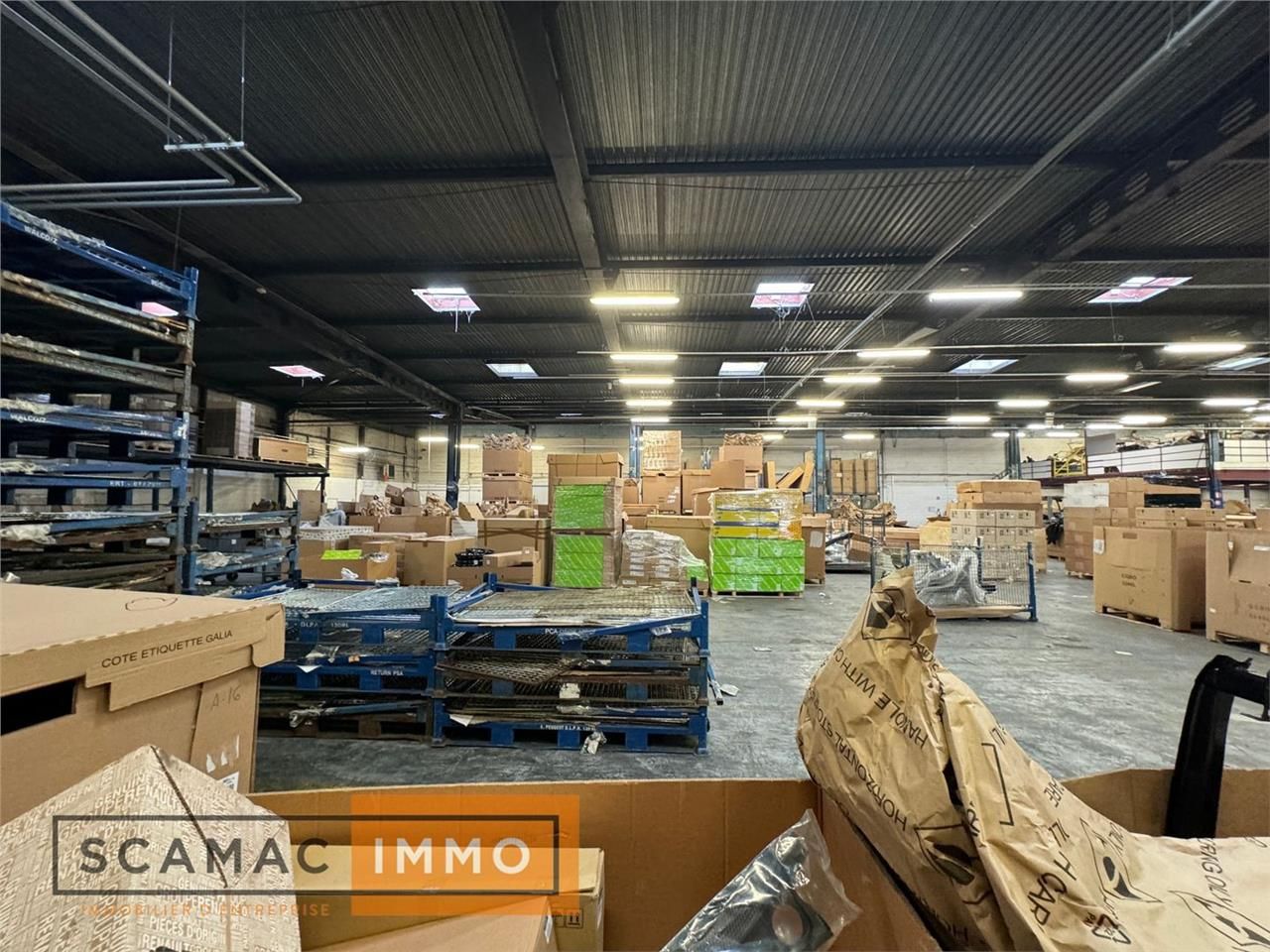 6300 m² pour ce loc en location à Villebon-sur-yvette