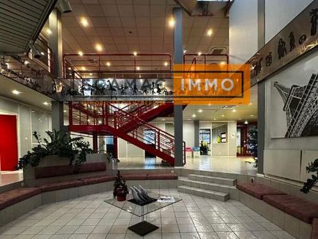 Local d'activités de 6081m²
