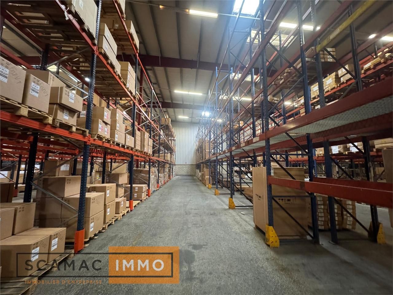 Location Entrepôt 5000 m² non divisibles