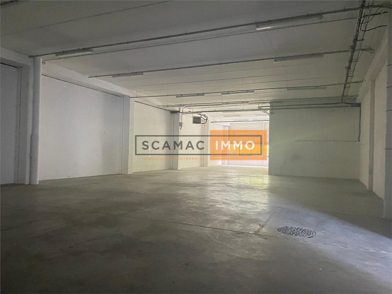 Local d'activités de 1241m²