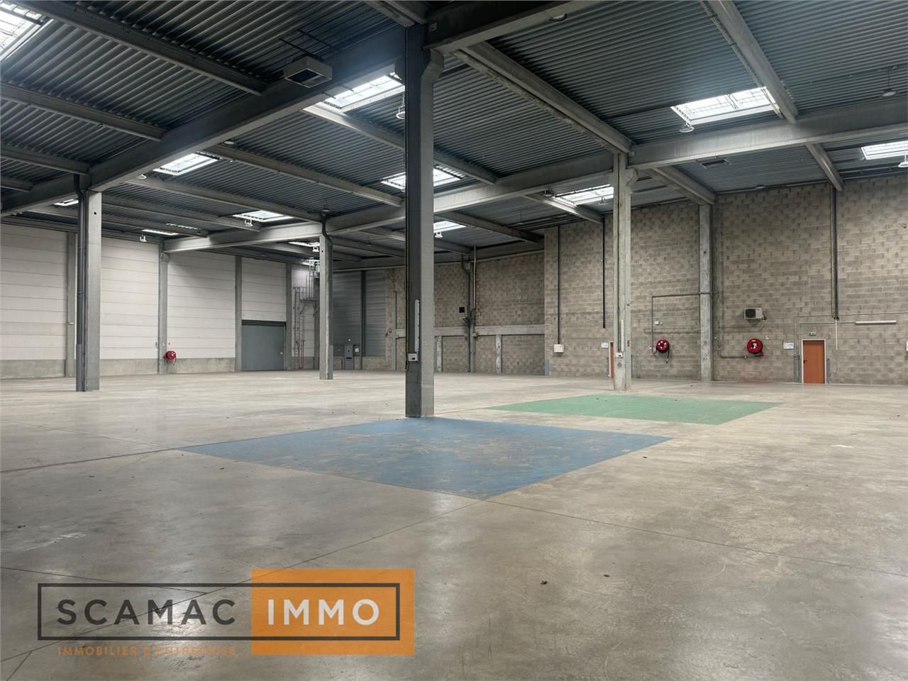 Local d'activités de 1677m²