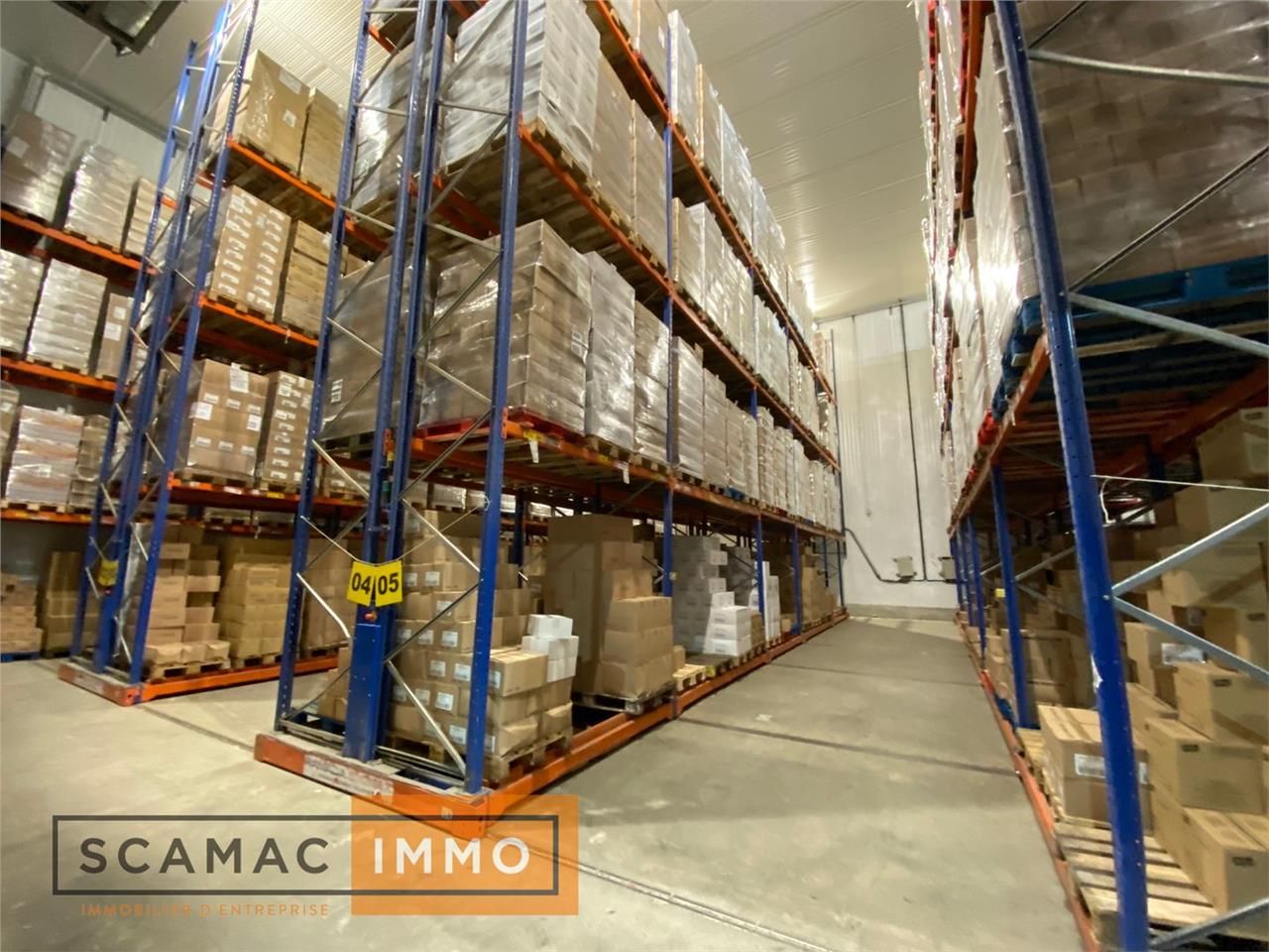 Entrepôt frigorifique de 3804m²