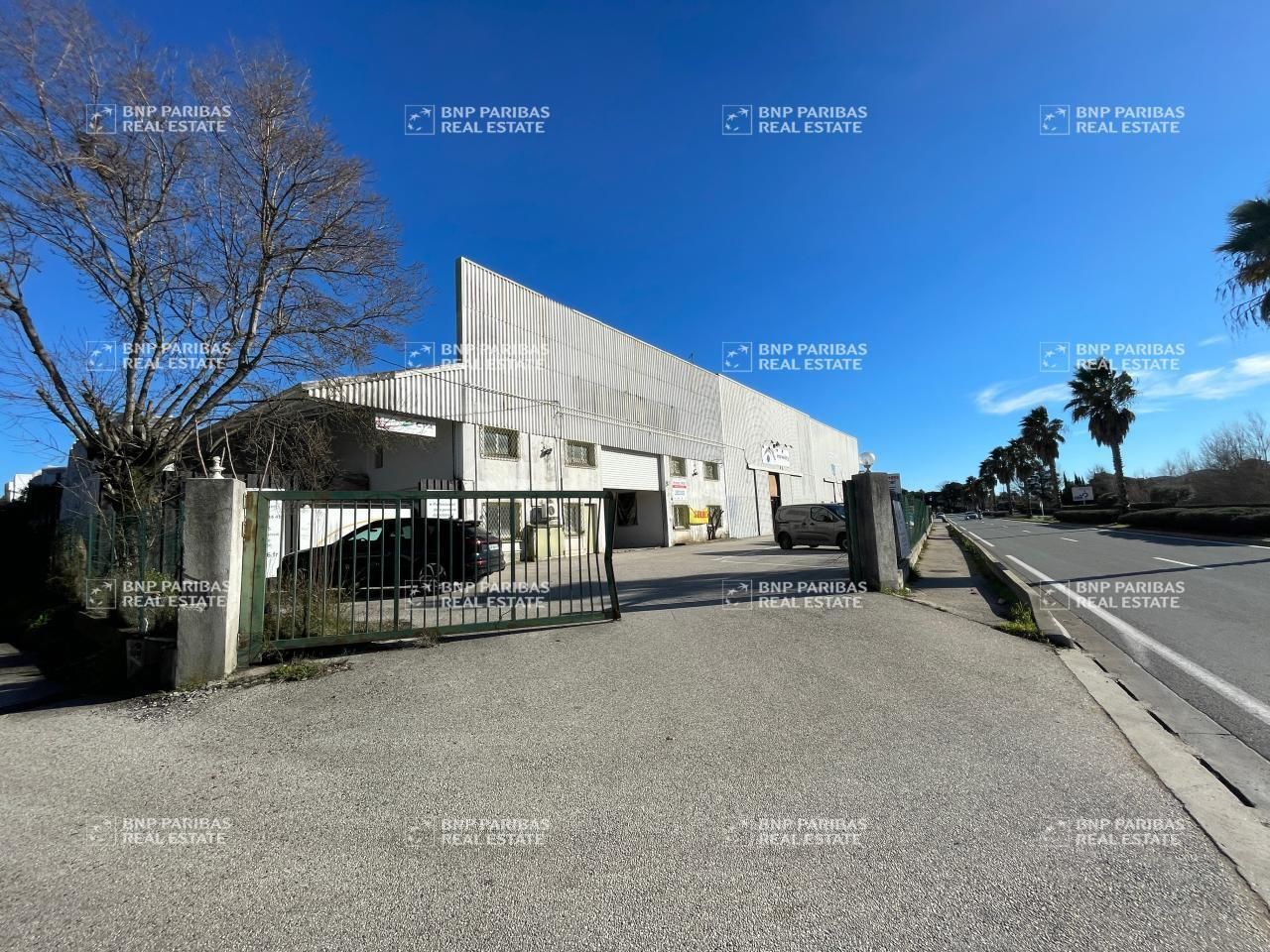 Location Activité 1200 m² non divisibles 06210 Mandelieu-la-napoule