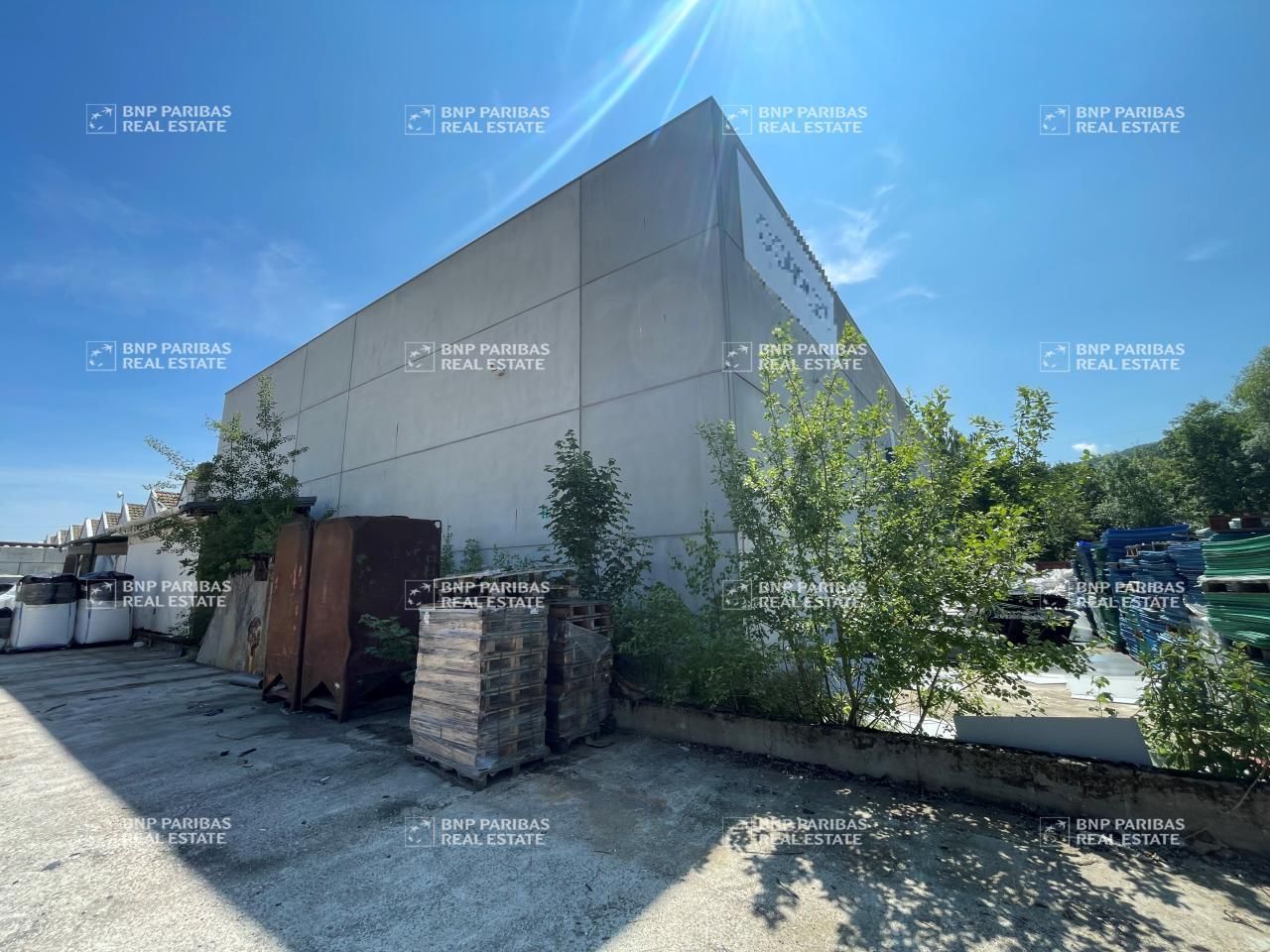 Location Activité 5378 m² divisibles 67130 Muhlbach-sur-bruche