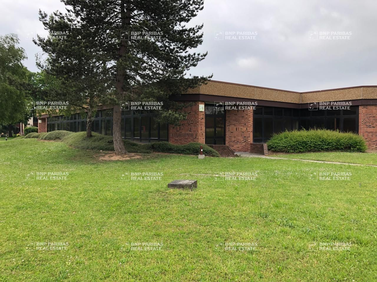 Location Activité 432.4 m² divisibles 67380 Lingolsheim