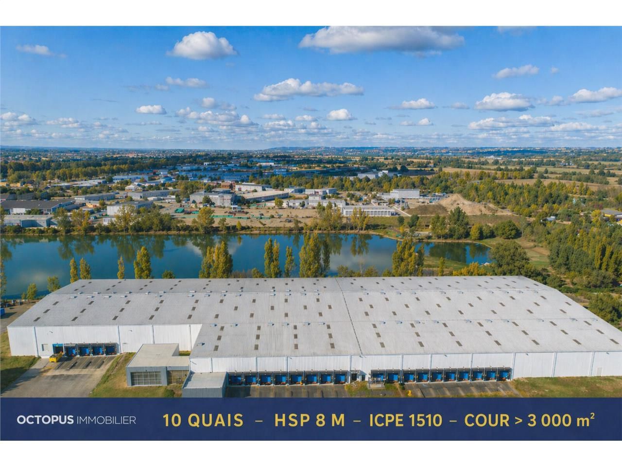 OCTOPUS IMMOBILIER vous propose à la location à L