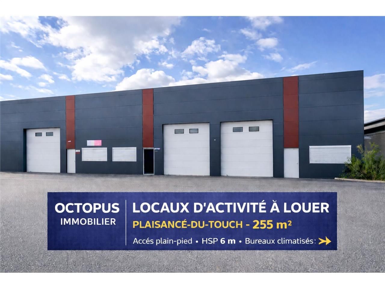 OCTOPUS IMMOBILIER vous propose à la location, à 