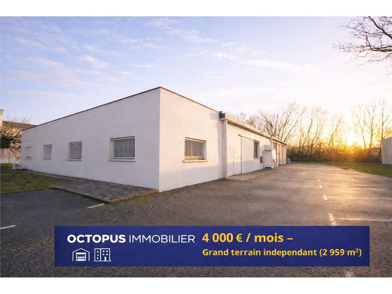 OCTOPUS IMMOBILIER vous propose à la location à S