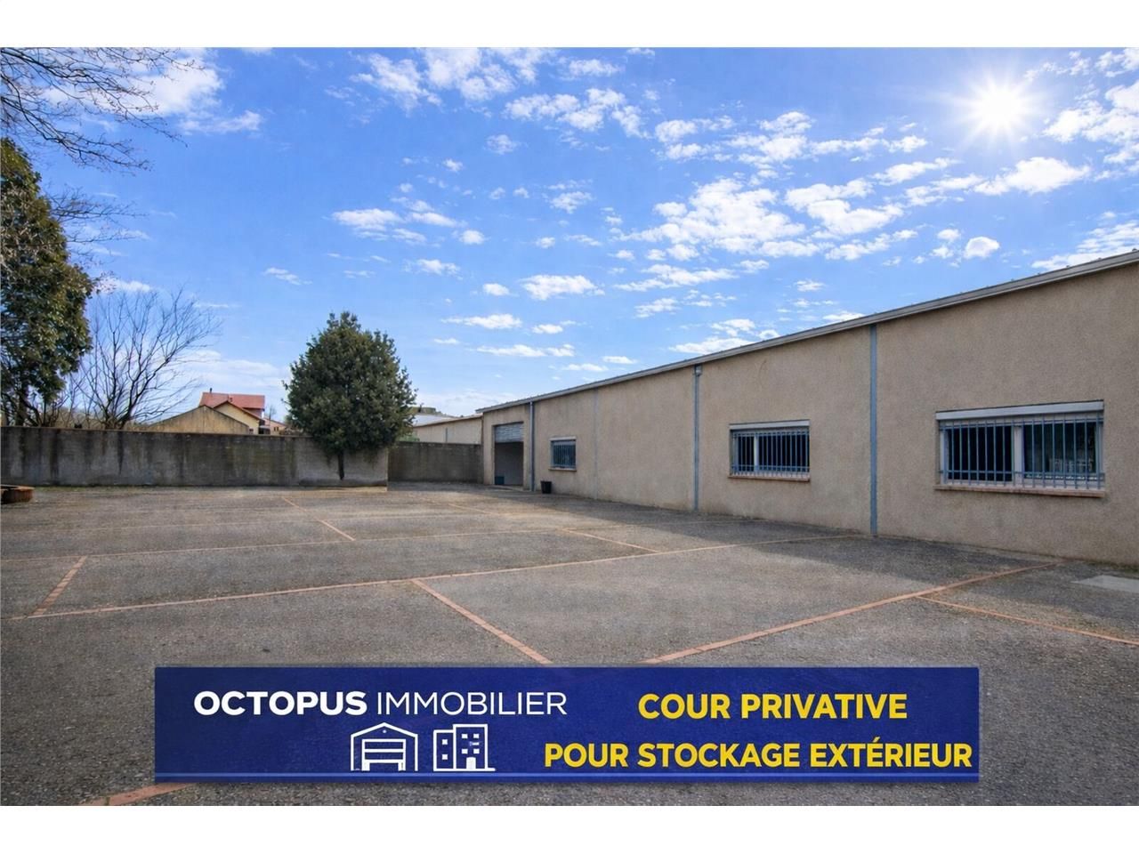 OCTOPUS IMMOBILIER vous propose à la location à P