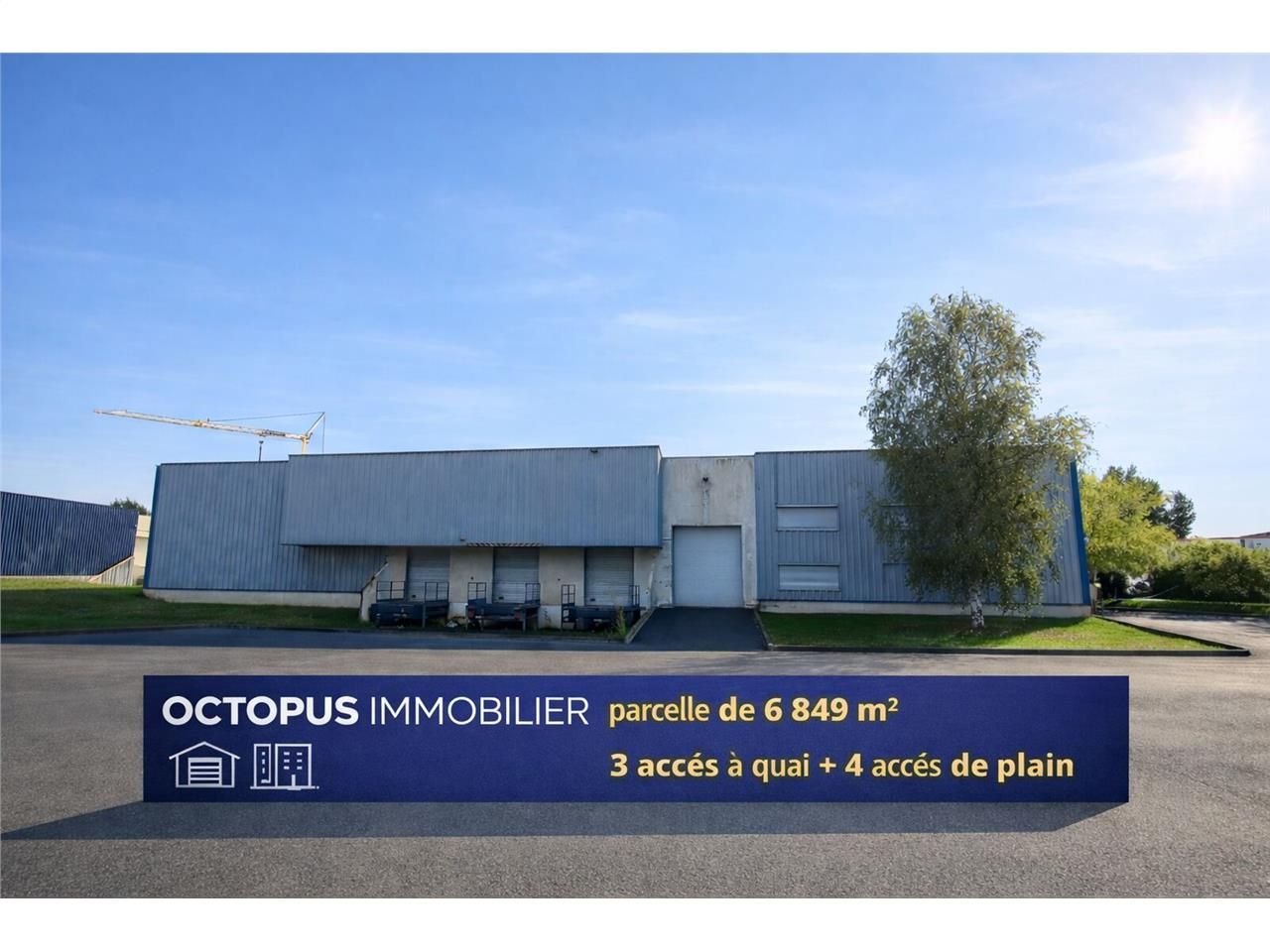 OCTOPUS IMMOBILIER vous propose à la location, en