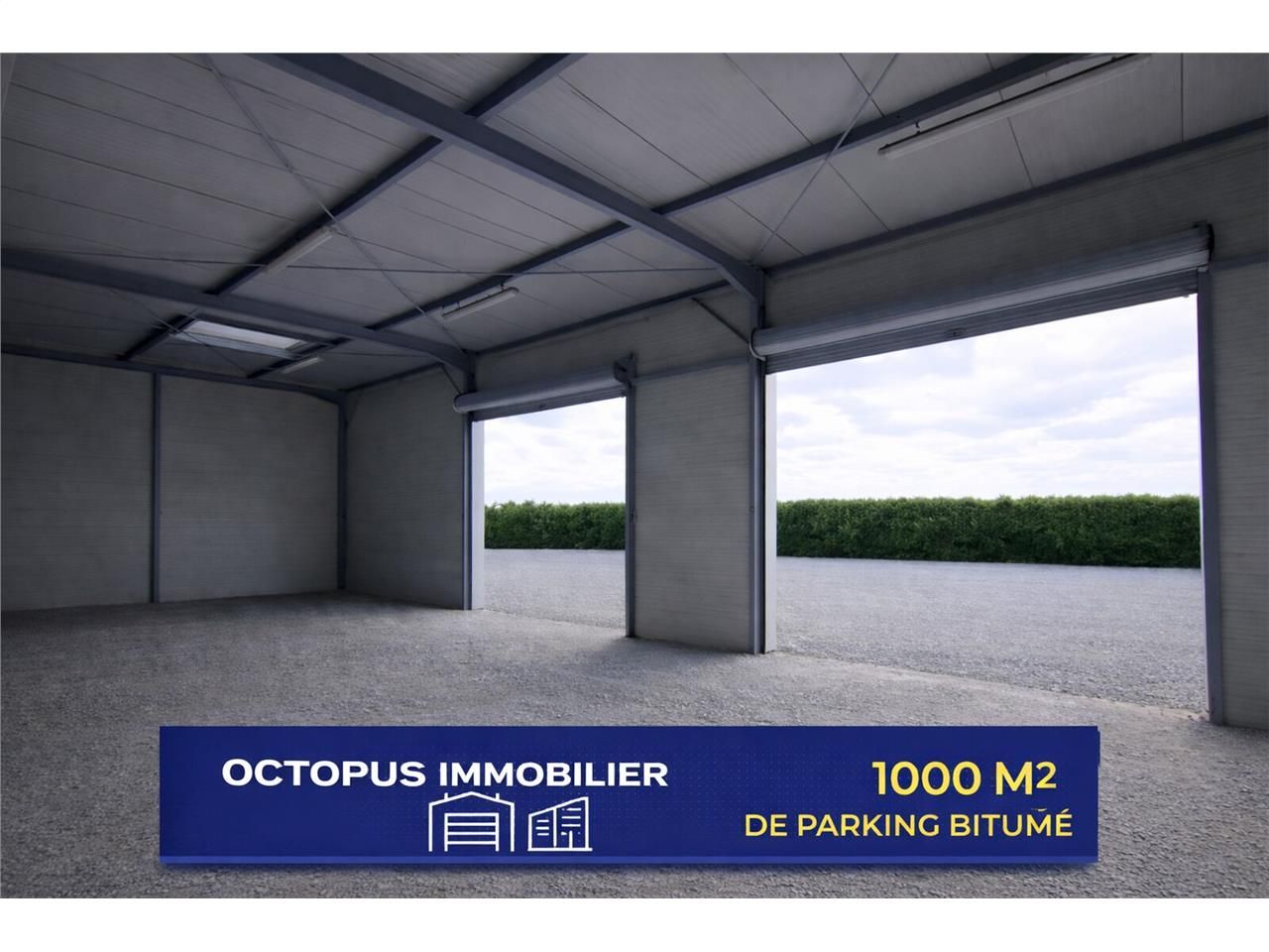 OCTOPUS IMMOBILIER vous propose à la vente au coe