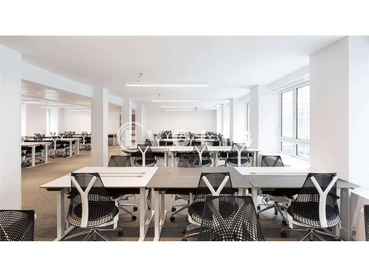 EVOLIS vous propose une opportunité exceptionnell