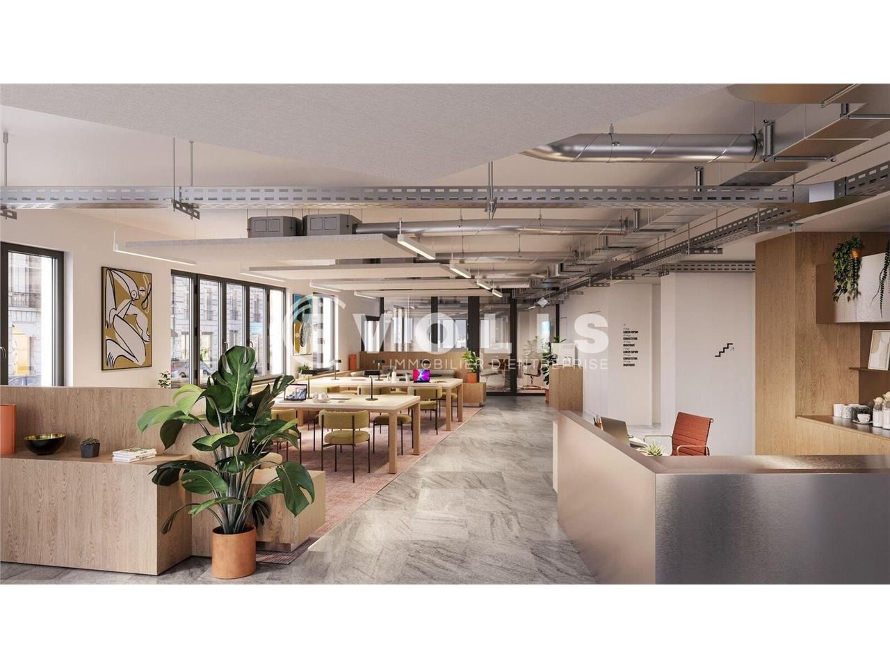 Saisissez une opportunité rare avec EVOLIS : des 