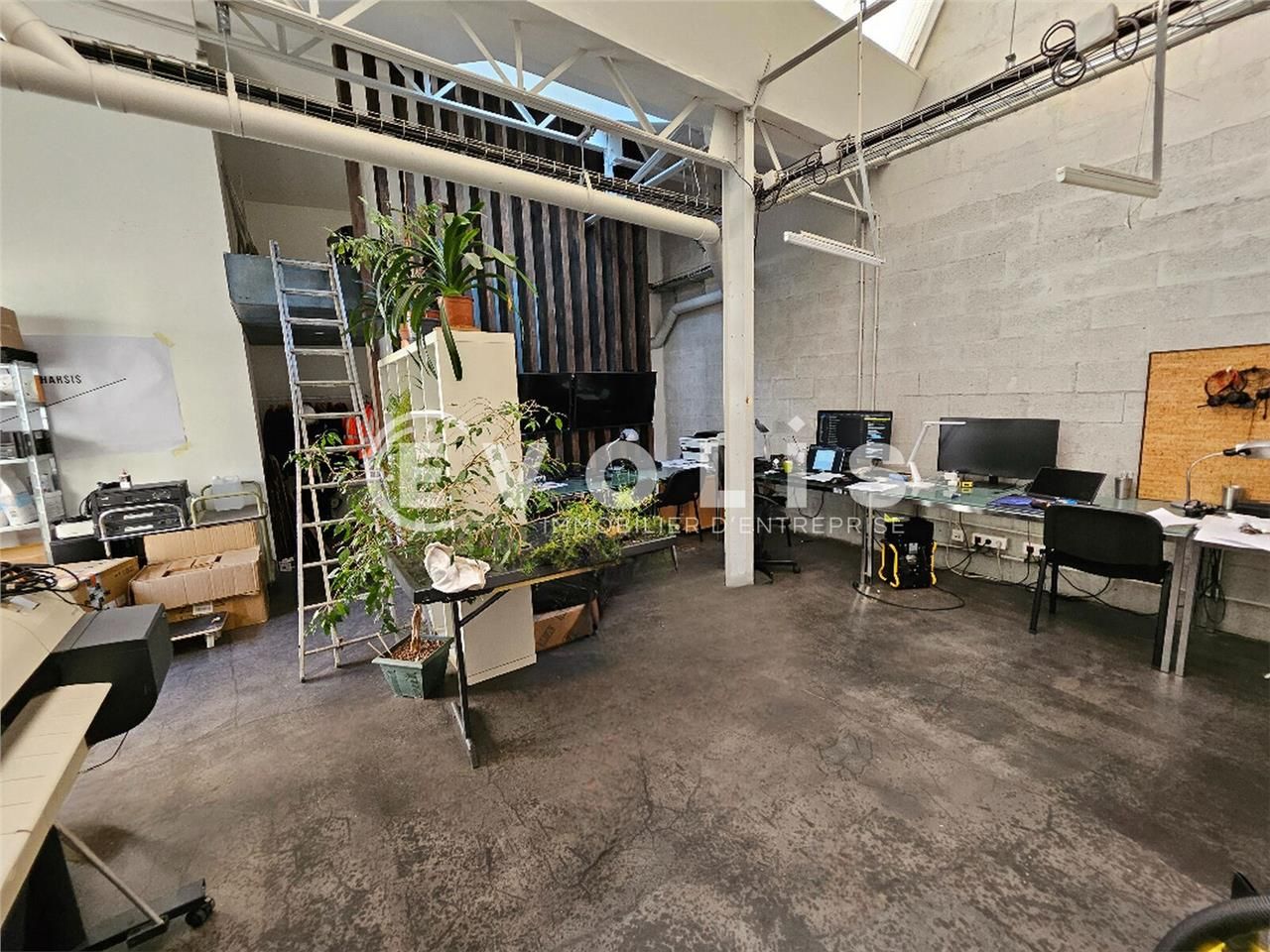 EVOLIS vous propose un local type loft de 216 m² 