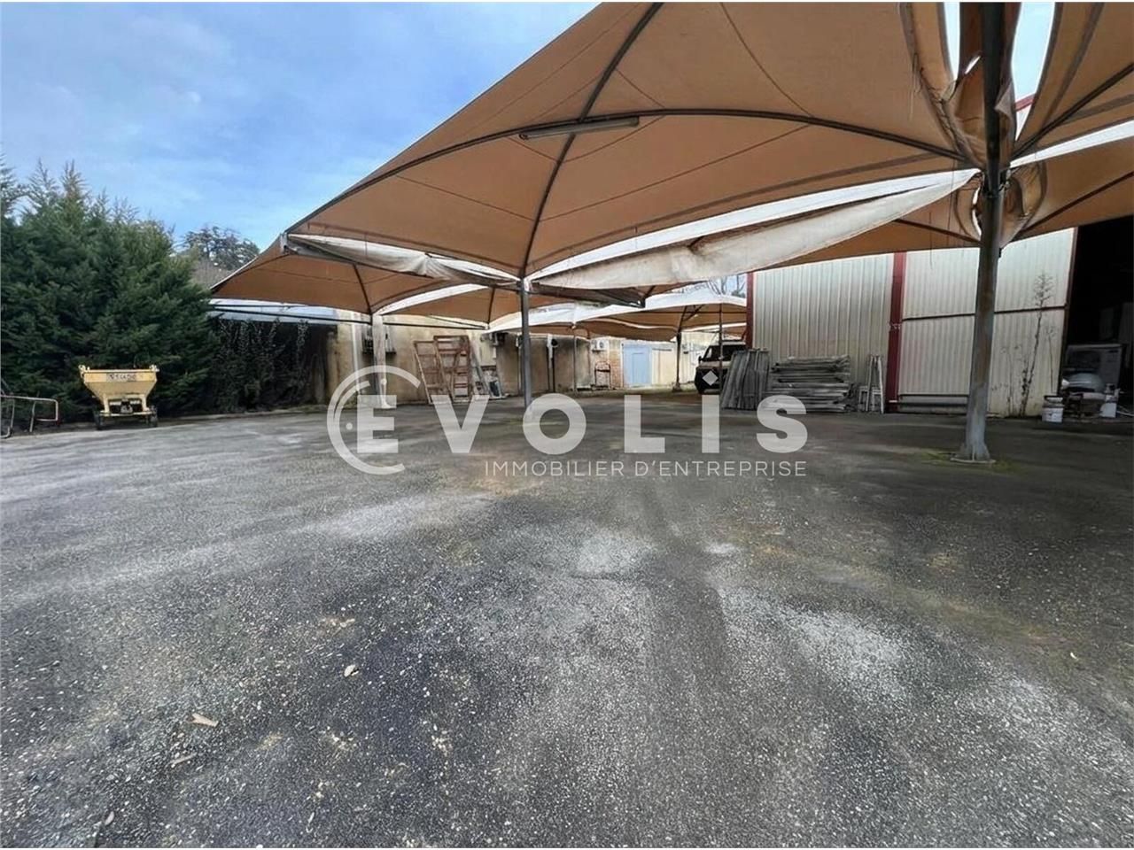 EVOLIS LYON ACTIVITE vous présente une opportunit