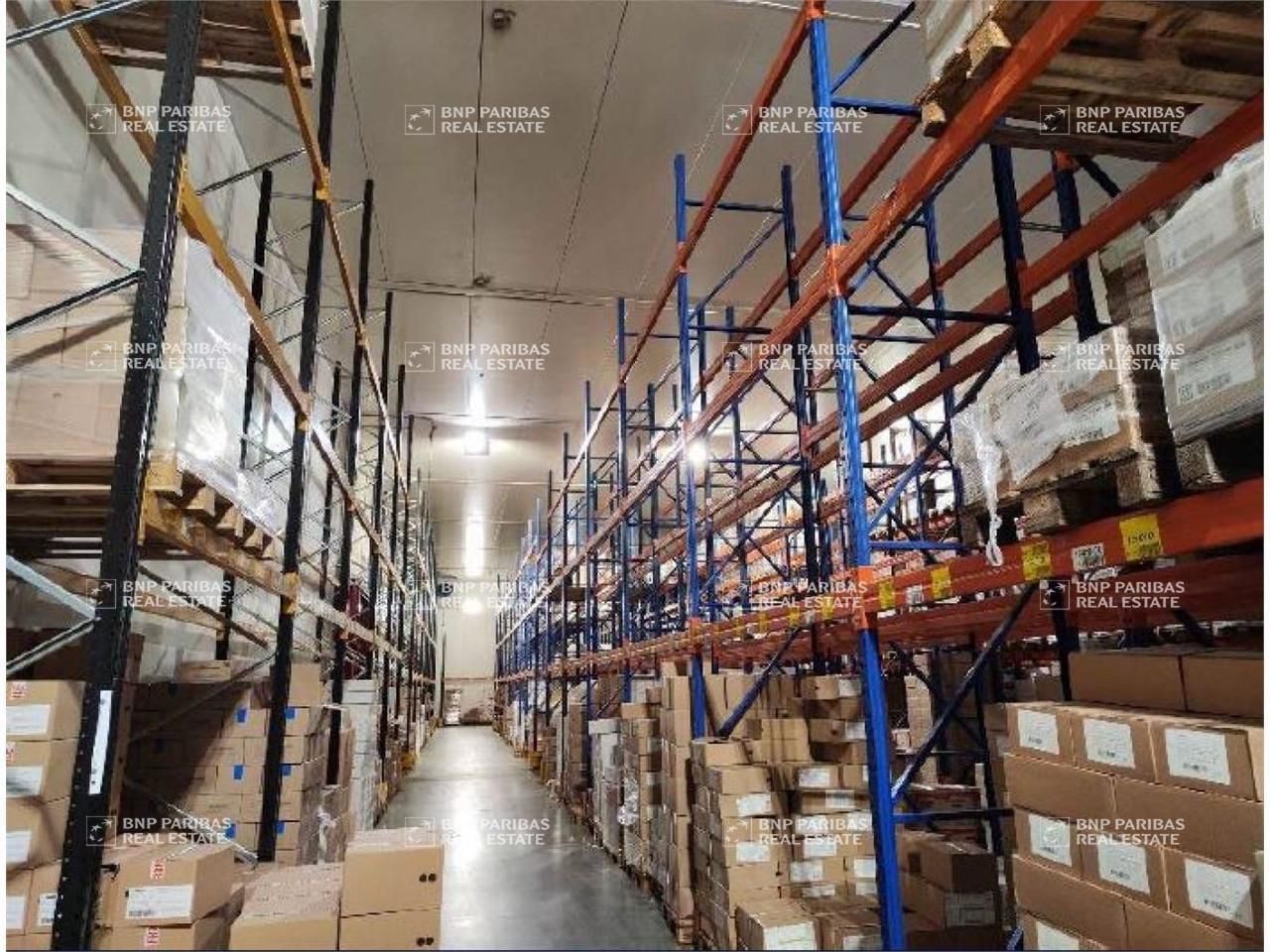 6057.37 m² pour cetentrepôts classe c en vente à Jarny