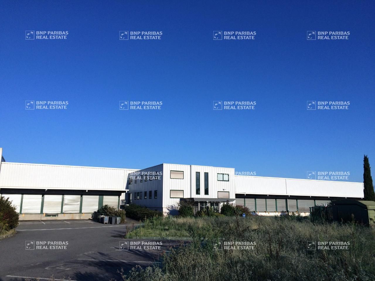 Location Activité 5441 m² divisibles 31150 Bruguières