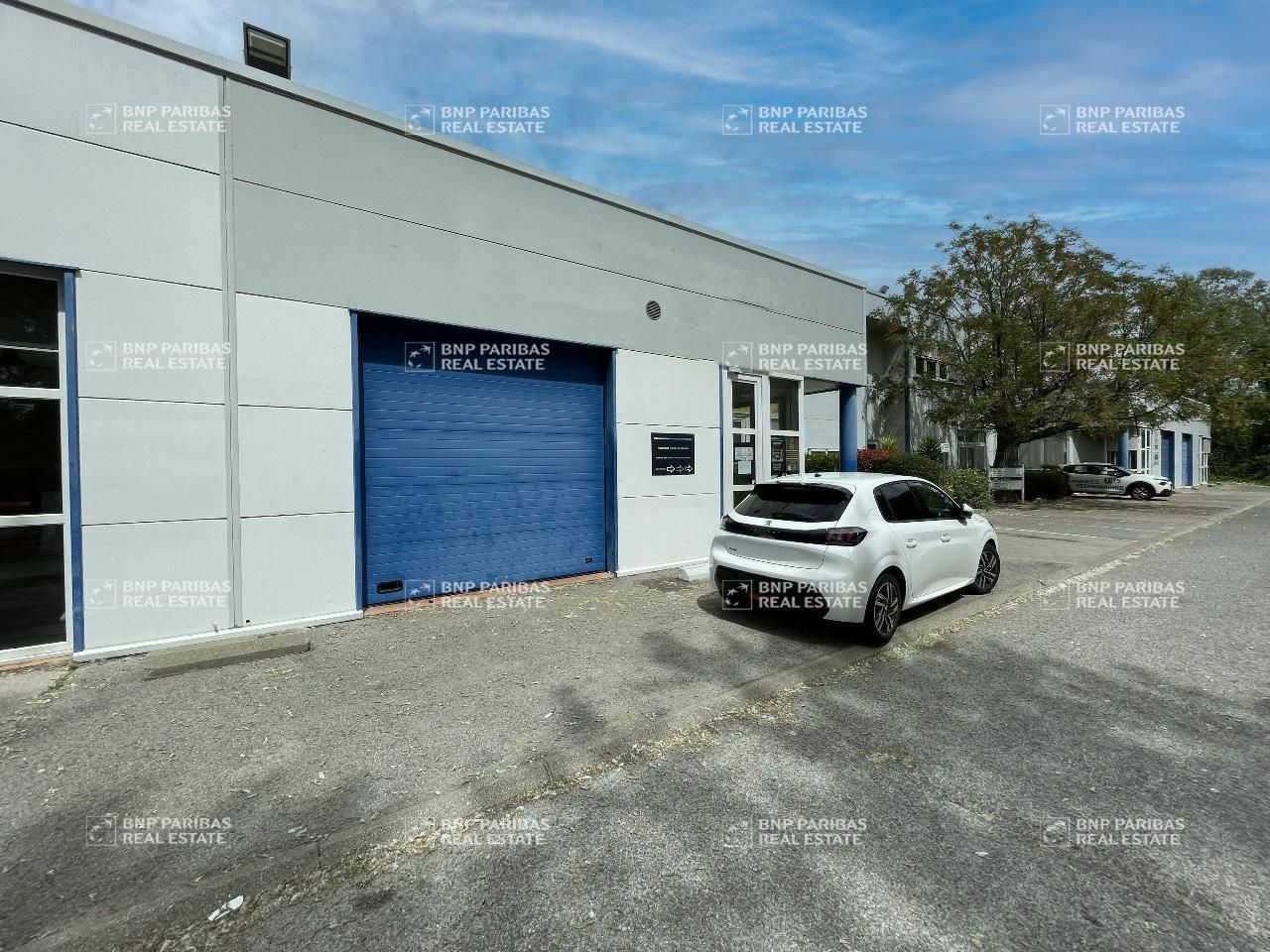 295 m² pour ce mixtes en location à Montpellier