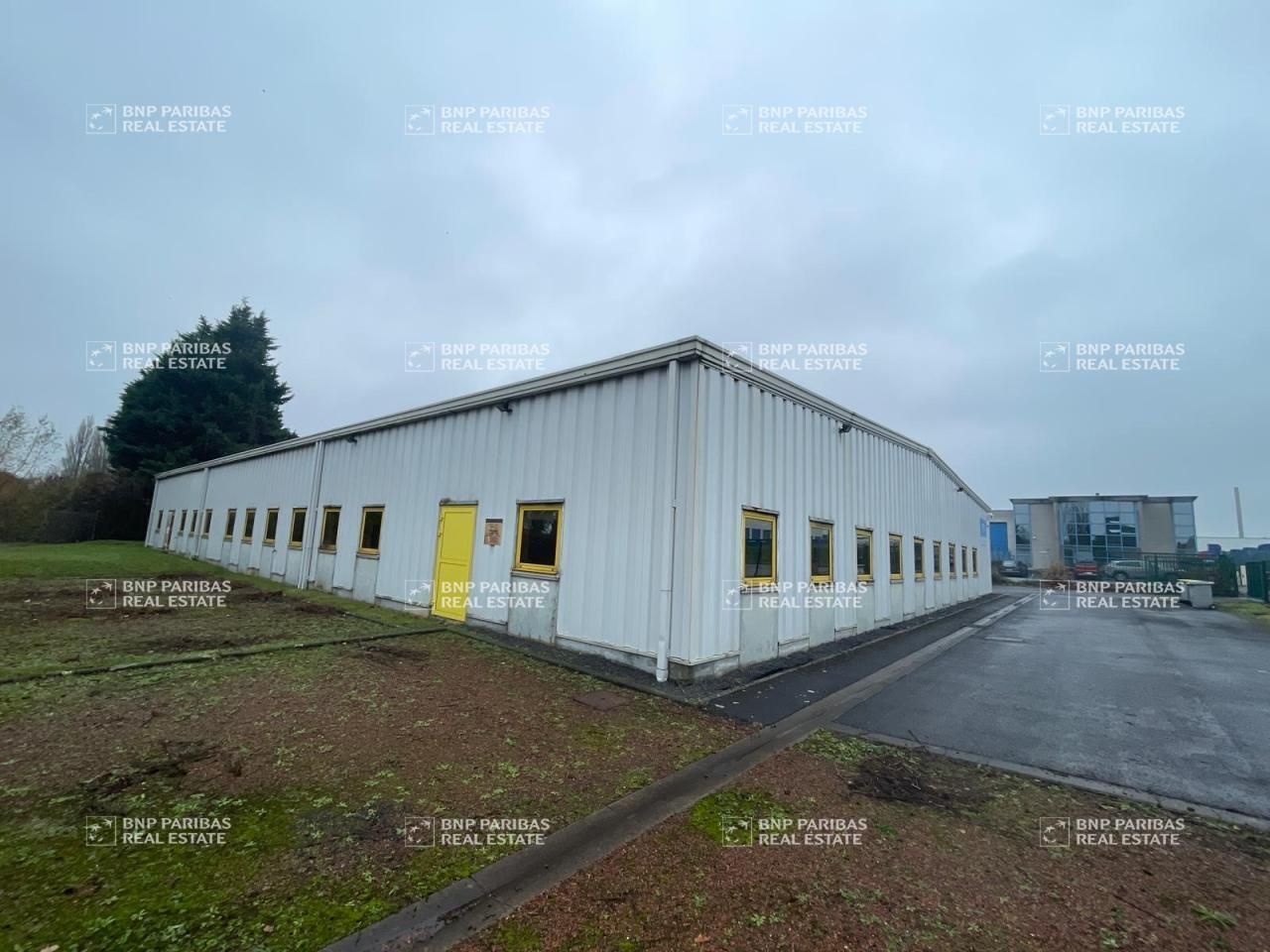 Vente Activité 1000 m² non divisibles 59960 Neuville-en-ferrain