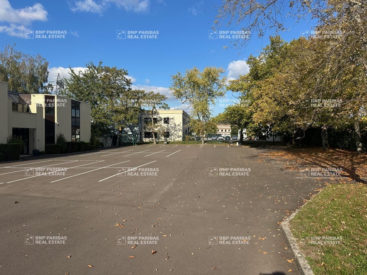 4475 m² pour ce activité en location à Lisses