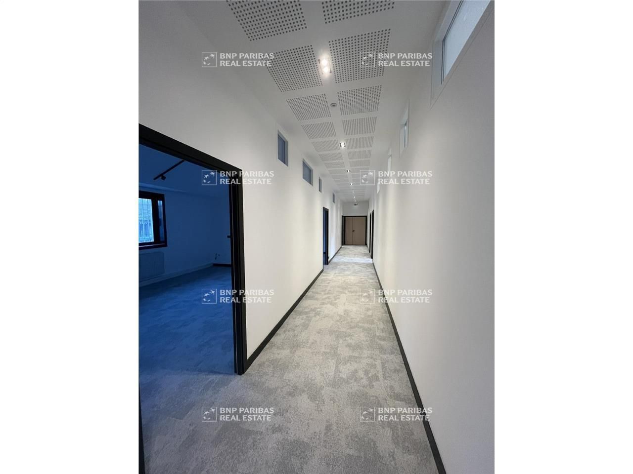 340 m² pour ce bureaux en location à Malakoff