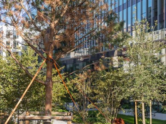 2053.2 m² pour ce bureaux en location à Bois-colombes