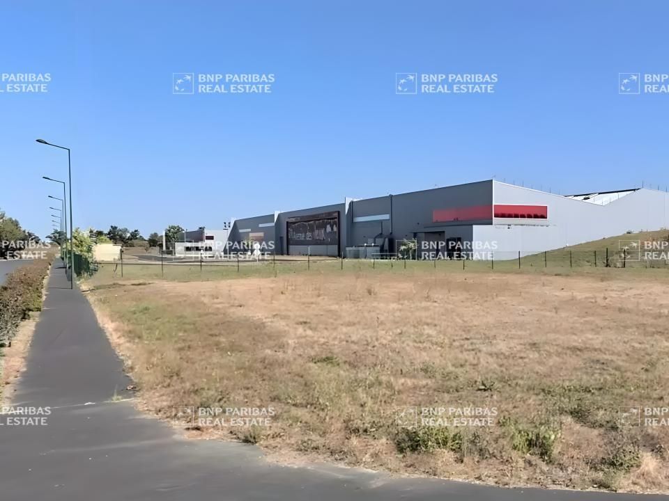 Vente entrepôts classe b à Vieillevigne 44116