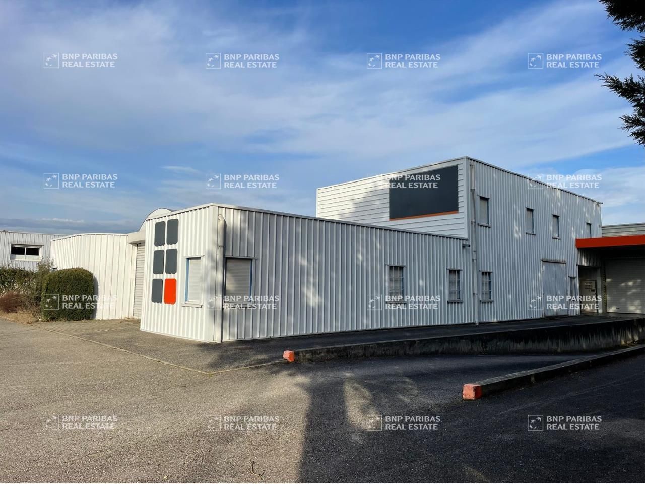 Vente Activité 895 m² non divisibles 01360 Béligneux