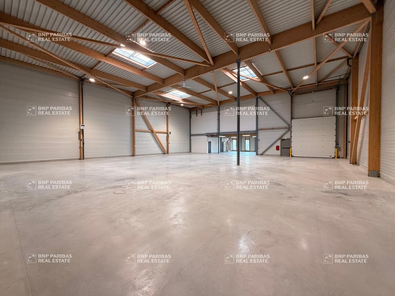 699.8 m² pour ce pme-pmi en vente à Courtry