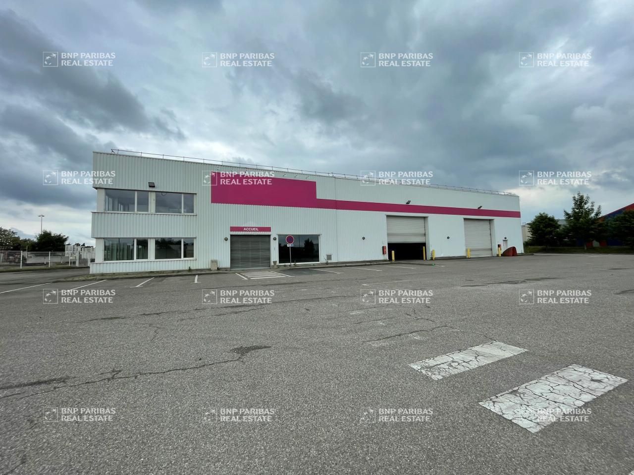 1273 m² pour ce activité en location à Kingersheim