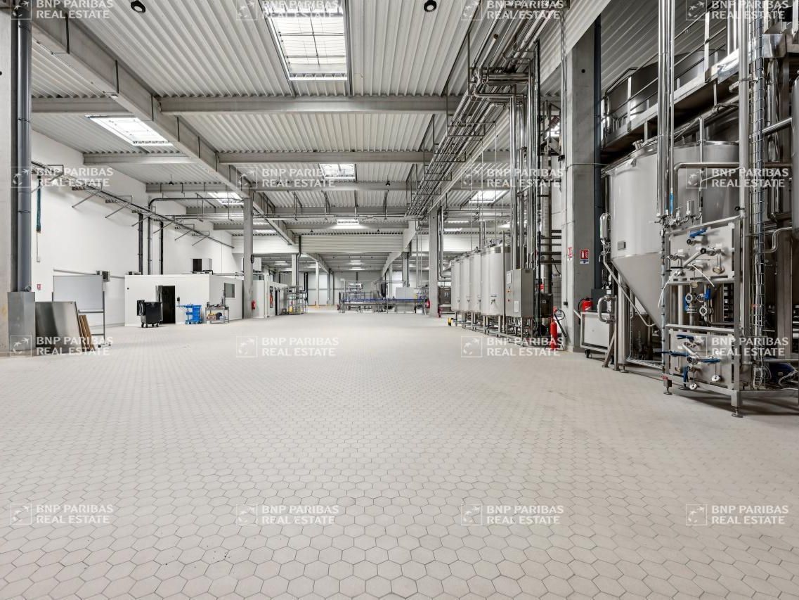 6088 m² pour ce activité en location à Sucy-en-brie