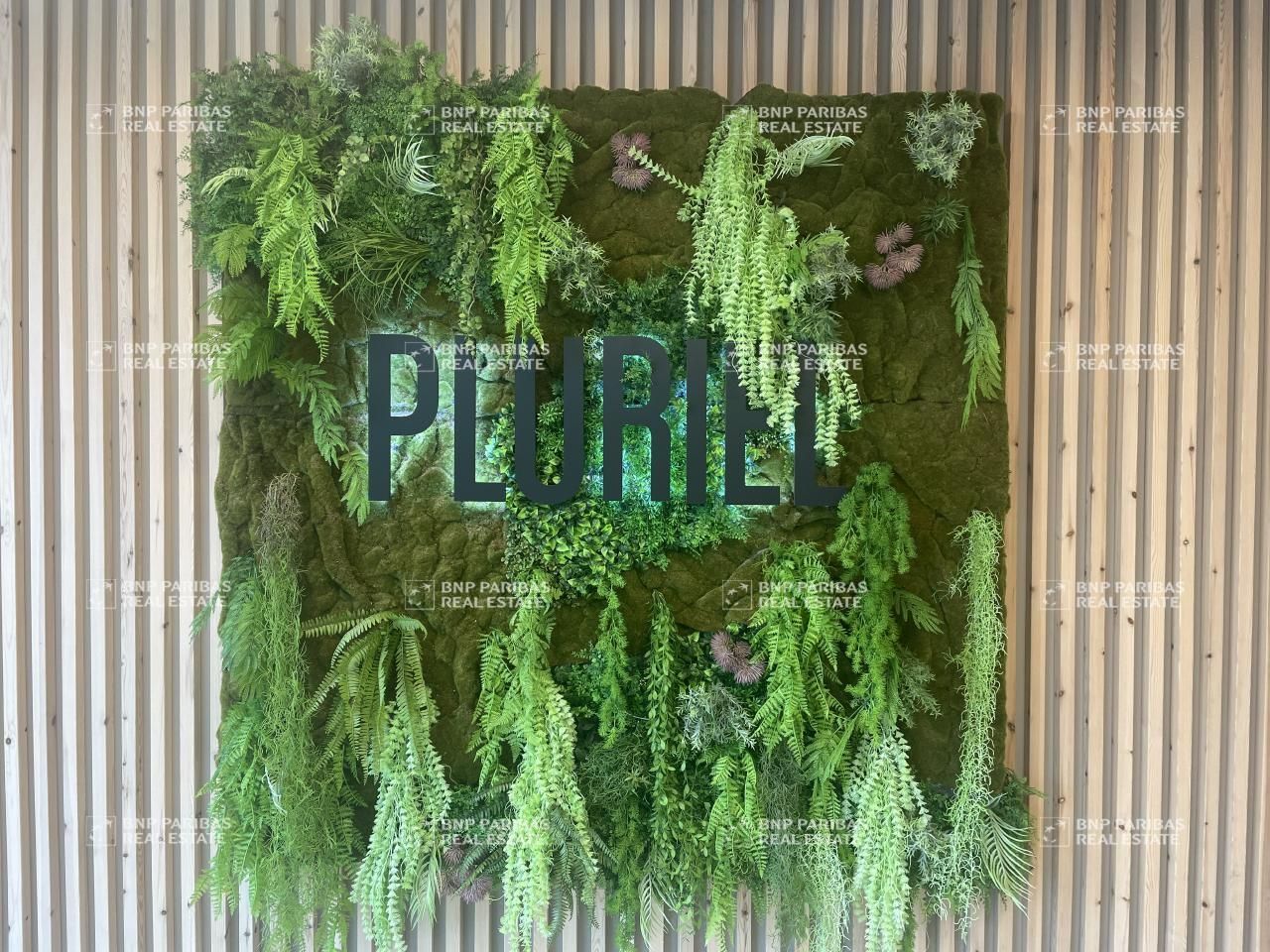 343 m² pour ce bureaux en location à Lyon