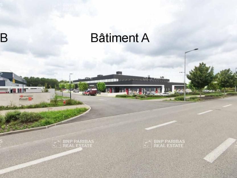 Location Activité 5112 m² divisibles 67170 Bernolsheim