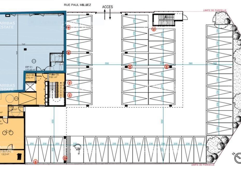 527.24 m² pour ce bureaux en location à Villeneuve-d'ascq