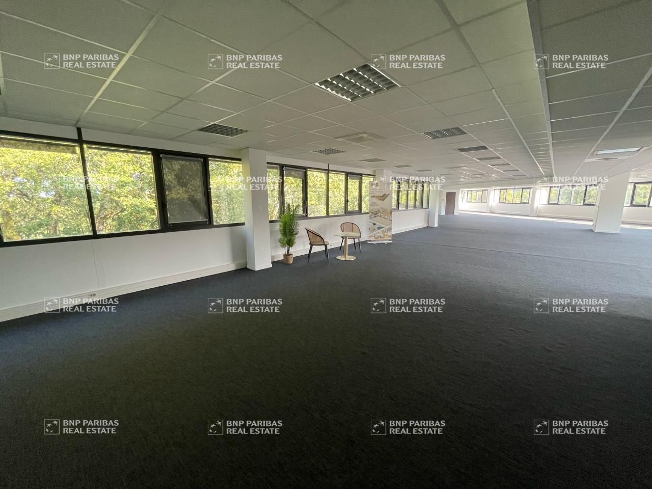 Location d'un bureaux disponibilité immédiate