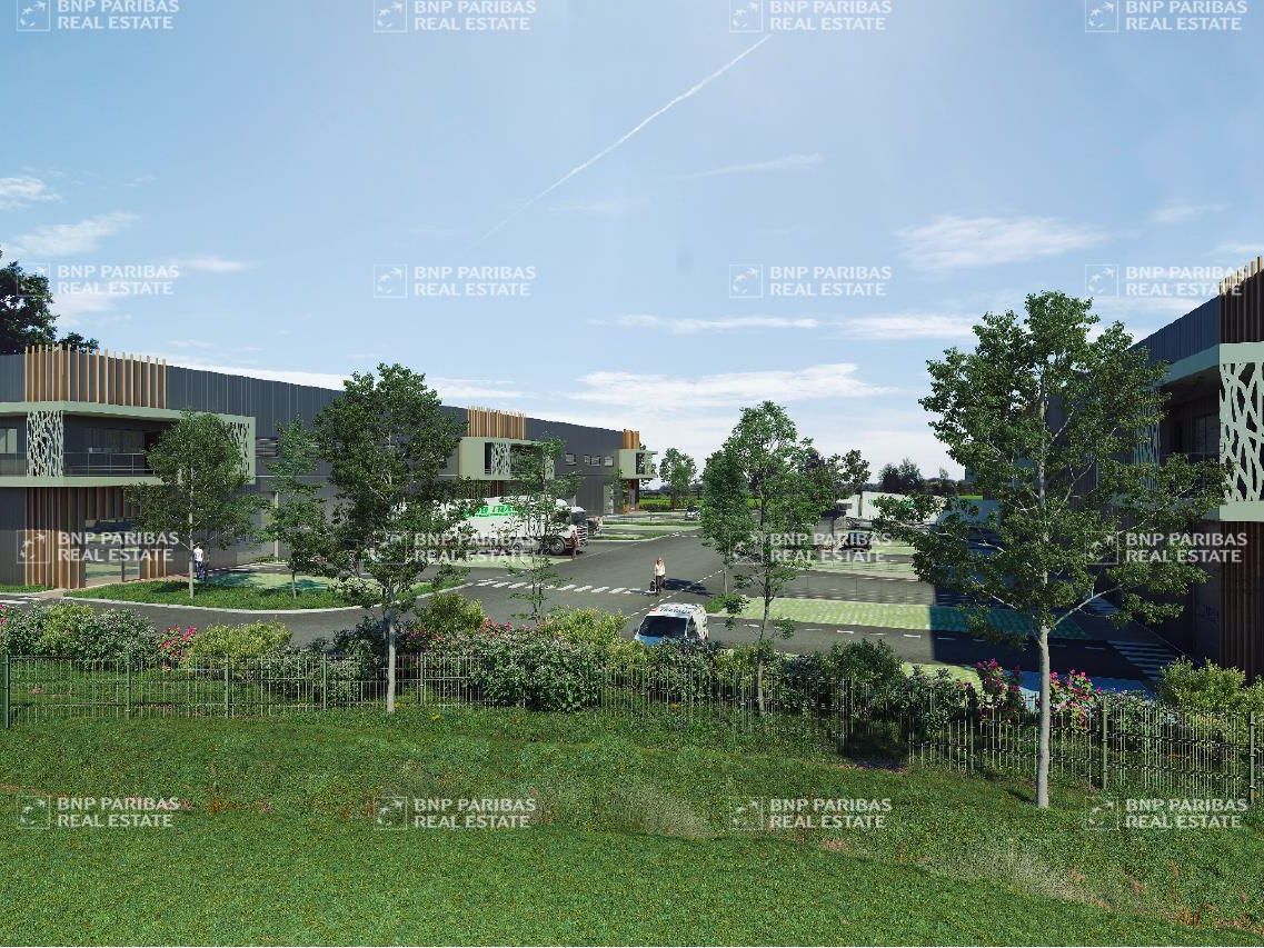 Location Activité 7162 m² divisibles 34130 Mauguio