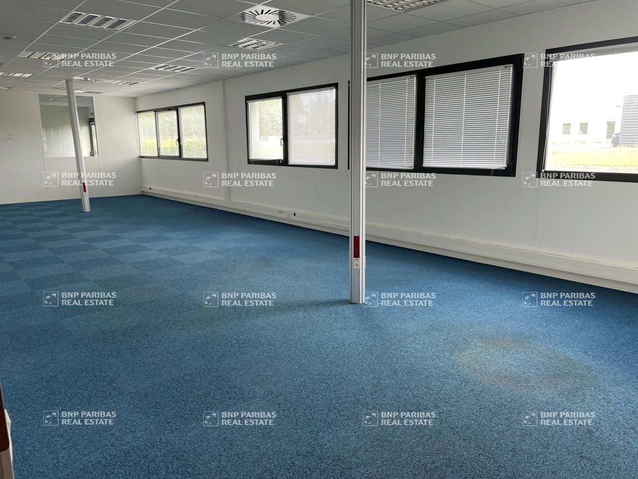 Location Bureaux 643.93 m² divisibles 44150 Ancenis-saint-géréon