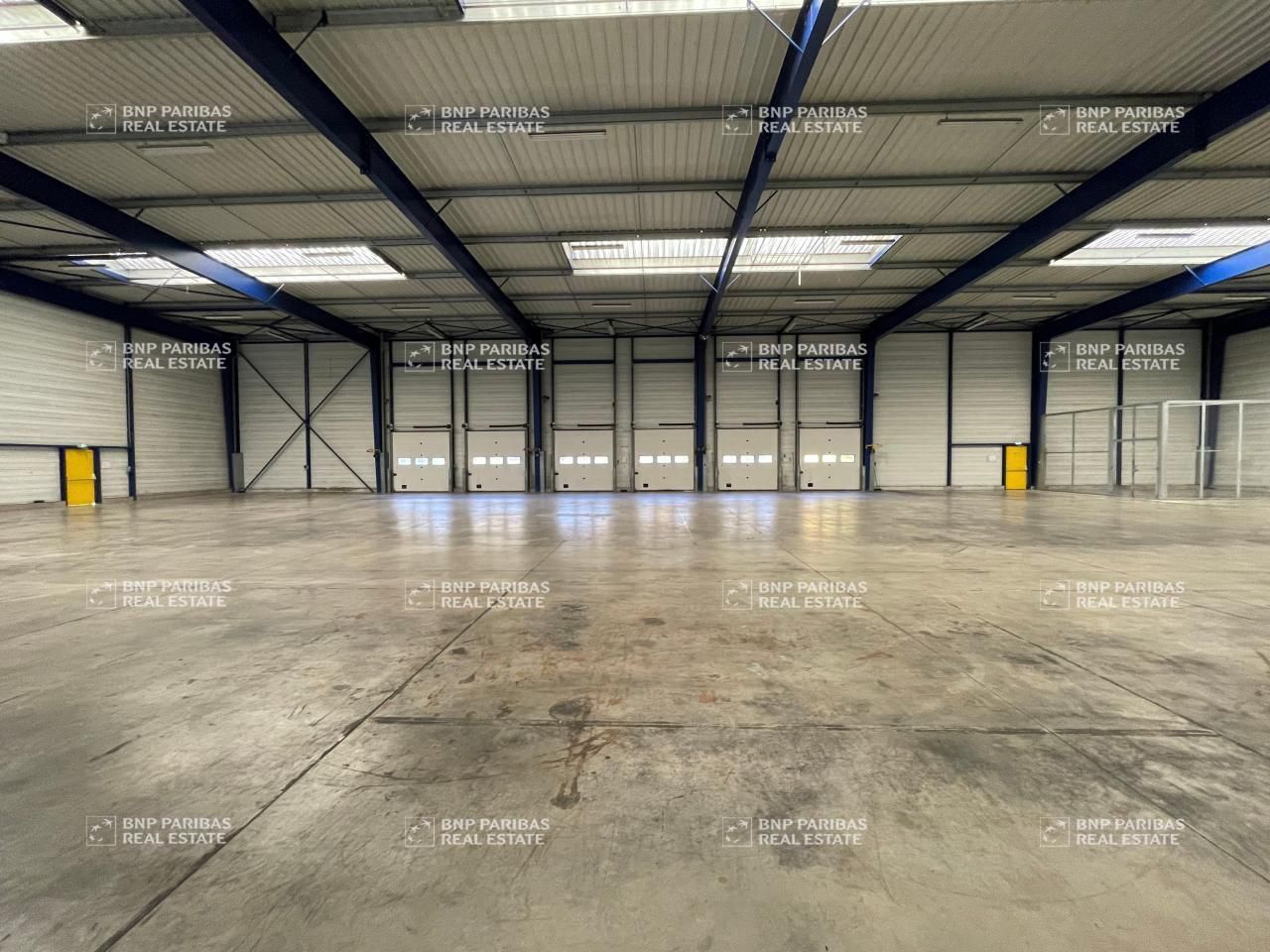 Vente Activité 1993 m² non divisibles 45430 Checy