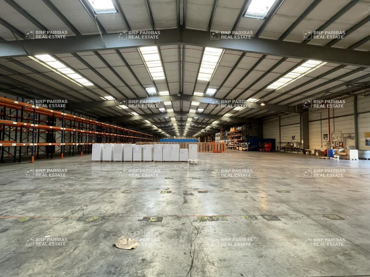 Vente Activité 11784 m² non divisibles 37160 Descartes