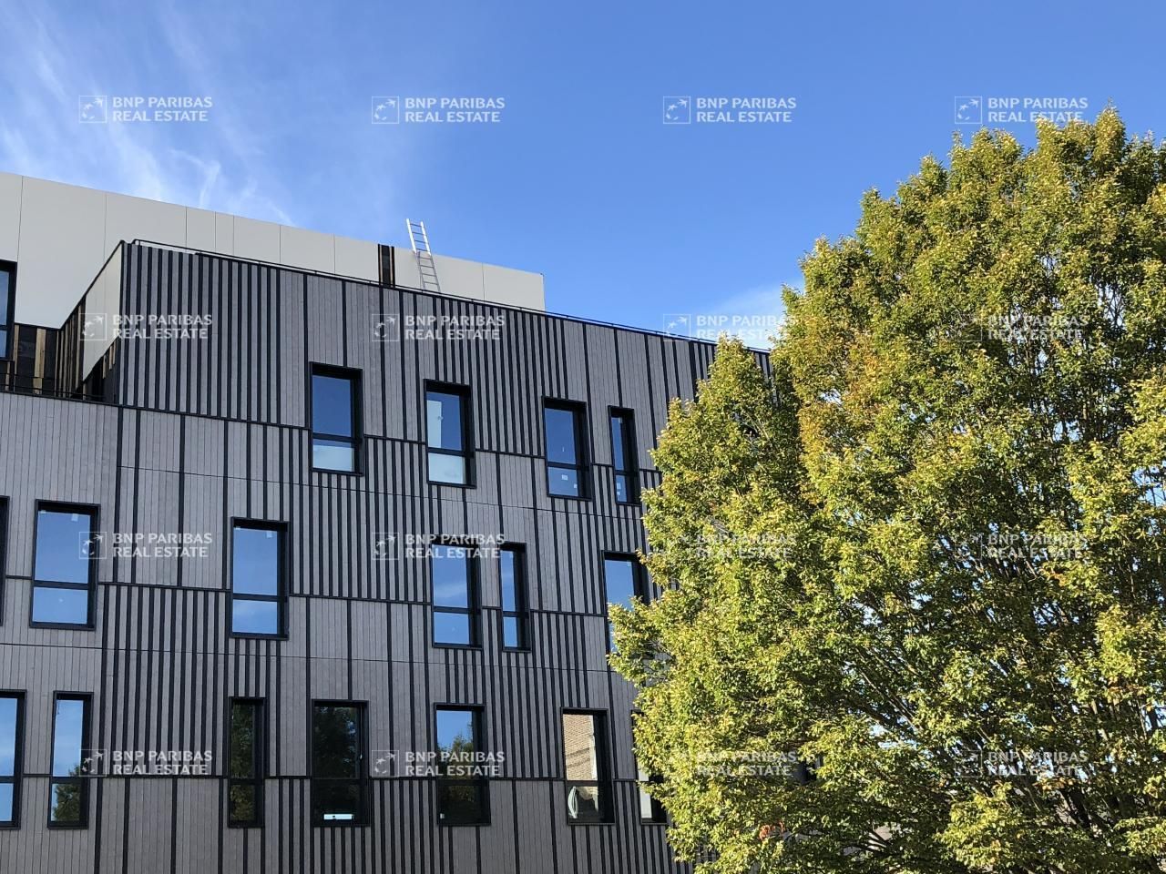 Location Bureaux 259.03 m² non divisibles 35000 Rennes